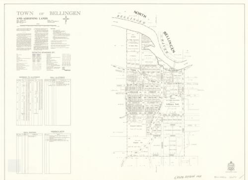 Town of Bellingen and adjoining lands [cartographic material] : Parish - South Bellingen, County - Raleigh, Land District - Bellingen, Shire - Bellingen / printed and published by Dept. of Lands Sydney