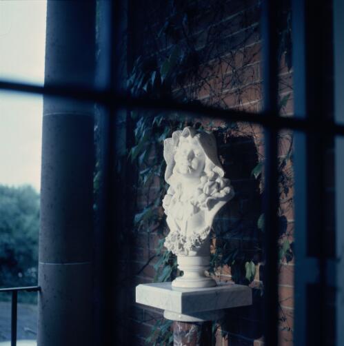 [White marble head viewed through a door's glass panels, ca. 1971] [transparency] / David Beal