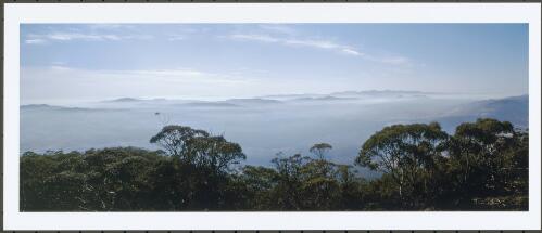 A thin veil of smoke from South Coast fires shrouding the ill-fated Ingledene Pine Forest in December 2002 [1] [picture] / Jeff Cutting