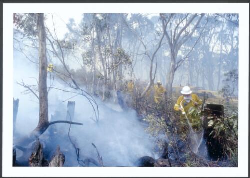 Crews from the ACT/NSW taskforce assisted by aerial water drops attack a spot fire across the Mount Franklin Road, south of Piccadilly Circus, [17 January 2003] [picture] / Jeff Cutting