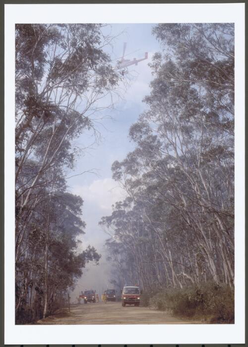 Under increasingly difficult conditions of blustery winds, low smoke, gritty dust and flying embers, the taskforce holding the Mount Franklin Road backburn worked desperately to prevent fire escaping across the road, [17 January 2003] [picture] / Jeff Cutting