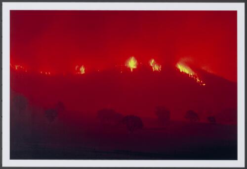 Conflagration in the Pierces Creek pines in the pre-dawn hours of the 18th January 2003 [picture] / Jeff Cutting