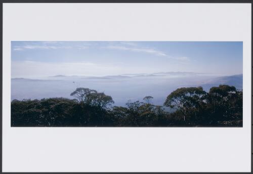 A thin veil of smoke from South Coast fires shrouding the ill-fated Ingledene Pine Forest in December 2002 [2] [picture] / Jeff Cutting