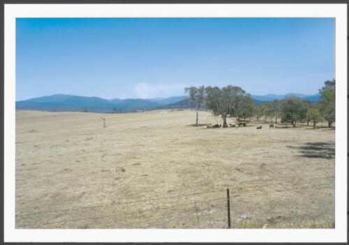 Eaten-out pastures on Huntly, four kilometres north-west of Mount Stromlo, carried a disastrous fire on 18th January 2003 picture] / Jeff Cutting