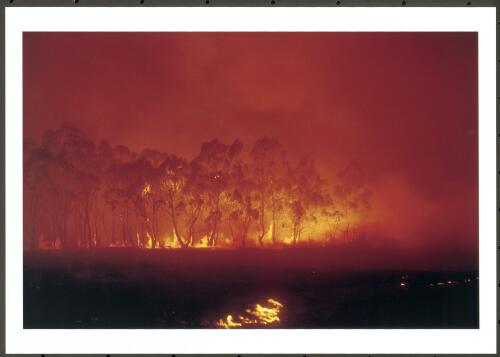 Hillside nature reserves aligned with prevailing winds and landscaped vacant lands provided fuel corridors to deliver fire from the mountaintops to the back of residential properties in Graves Place Kambah, [18 January 2003] [picture] / Jeff Cutting