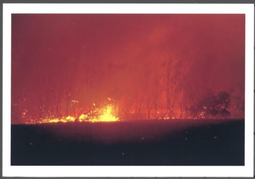 A torrent of flame and burning material arriving at back fences in Kambah, [18 January 2003] [picture] / Jeff Cutting