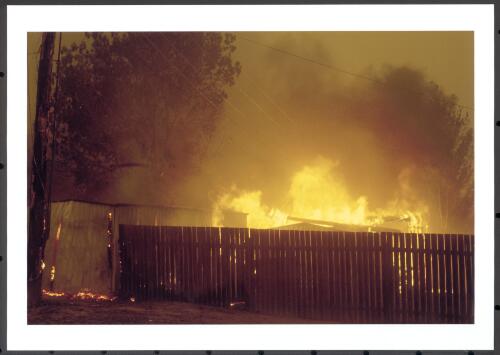 Sheds and gardens in a Kambah backyard burn furiously one hour after the arrival of fire at the back fence, [18 January 2003] [picture] / Jeff Cutting