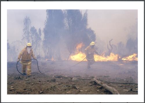 Firefighters from ACT Southern Brigade are unable to halt a run of fire as gale force winds drive horizontal flames and low scorching smoke, [30 January 2003] [picture] / Jeff Cutting