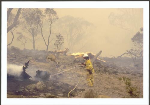 Mopping up weathered timber ignited by wind blown embers, Clearview Range Michelago, [30 January 2003] [picture] / Jeff Cutting