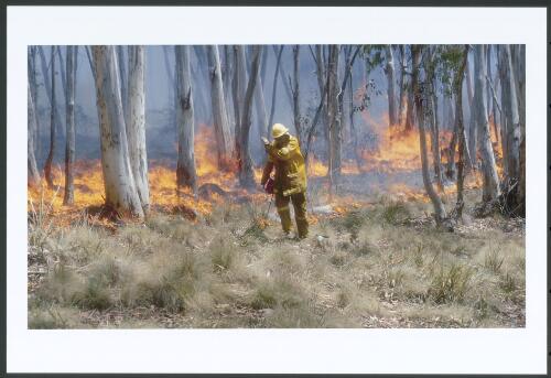 Putting in the stick, backburning in snowgum woodland, Old Bulls Head Camp, 16th January 2003 [picture] / Jeff Cutting