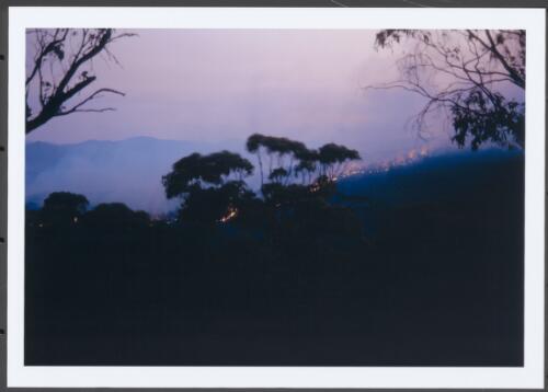 The northern flank of the Bendora fire extending 1.5 km up Bendora Hill from Wombat Road at dusk on 9th January 2003 [1] [picture] / Jeff Cutting