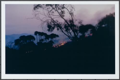 The northern flank of the Bendora fire extending 1.5 km up Bendora Hill from Wombat Road at dusk on 9th January 2003 [2] [picture] / Jeff Cutting