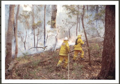 ACT firefighters working quickly to knock down the head of a spot-over along Moonlight Hollow Road on the Bendora fire before it burns out of range of the hose lines, [11 January 2003] [picture] / Jeff Cutting