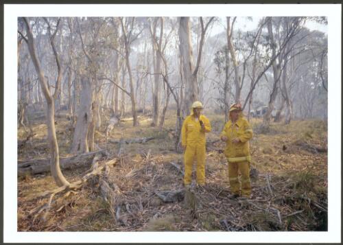 The Incident Management Team on the Bendora fire assessing fuels in snowgum forest on Bendora Hill prior to backburning, 11th January 2003 [picture] / Jeff Cutting