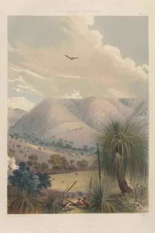 Yattagolinga, Rapid Bay region, South Australia, 1847 / George French Angas; J.W. Giles