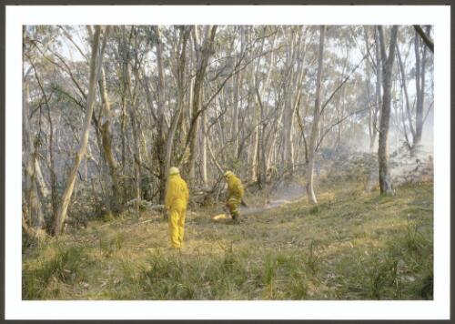 Lighting up the border backburn on Bendora Hill, in order to head off a strong fire moving upslope from Chalet Road, 11th January 2003 [picture] / Jeff Cutting