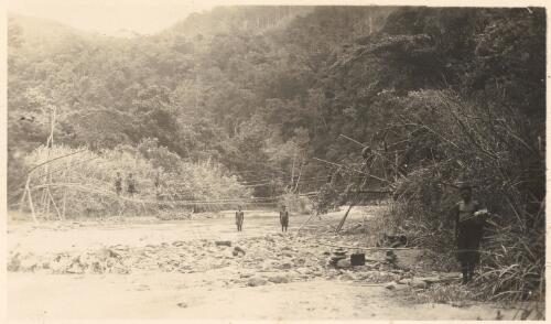 Making a Kund [i.e. Kunda] bridge, Lower Watut [ Central New Guinea], October 1936 [picture]