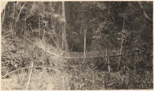Kunda bridge [ Central New Guinea], October 1936 [picture]