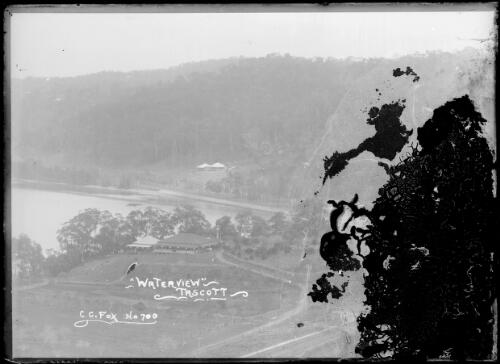 Postcard 'Waterview, Tascott, C. C. Fox no. 700' [picture] / C.C. Fox