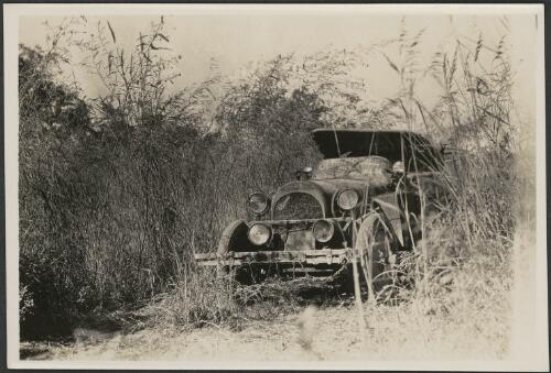 Oldsmobile in the tall grass on a buffalo track, Arnhem Land, Northern Territory, ca. 1915 [picture]