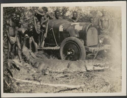 Ten Aboriginal men with their captured crocodile alongside of the Oldsmobile, Arnhem Land, Northern Territory, ca. 1915 [picture]