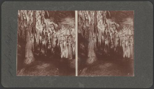 The King's grotto in Fairy Cave, Buchan, Victoria, 1909 [picture] / Jas H.A. MacDougall, Walden Studios
