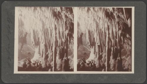 The gleaming canopy in Fairy Cave, Buchan, Victoria, 1909 [picture] / Jas H.A. MacDougall, Walden Studios