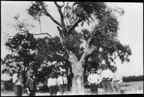Men standing next to Landsborough's tree, near Charleville, Queensland, which Landsborough reached in May 1862 on his return from searching for Burke & Wills [picture]