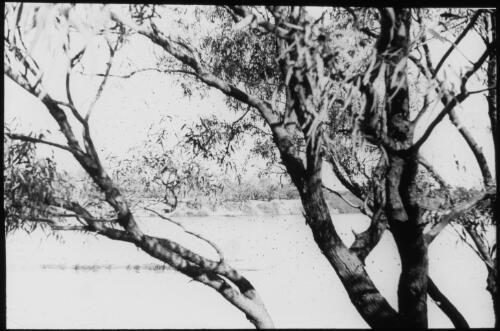 Cooper Creek, Queensland, 1935 [picture]