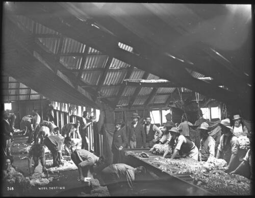 Interior of a shearing shed, with people sorting wool, Australia, ca. 1900 [transparency] / Charles Kerry