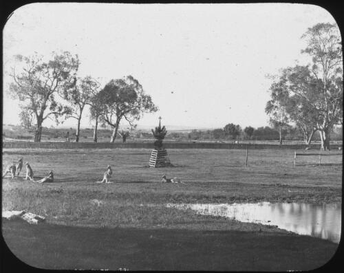 Kangaroo park, Australia, ca. 1895 [transparency] / Kerry & Co
