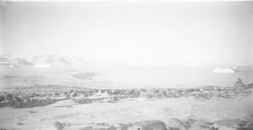 Panoramic view looking north over the mouth of Granite Harbour, Cape Geology, Antarctica, ca. 1911 [picture]/ Thomas Griffith Taylor