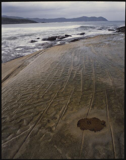Sandstone pavement, South Cape Bay, southwest Tasmania, 1990?, 2 [transparency] / Peter Dombrovskis