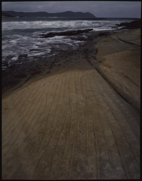 Sandstone pavement, South Cape Bay, southwest Tasmania, 1990?, 3 [transparency] / Peter Dombrovskis
