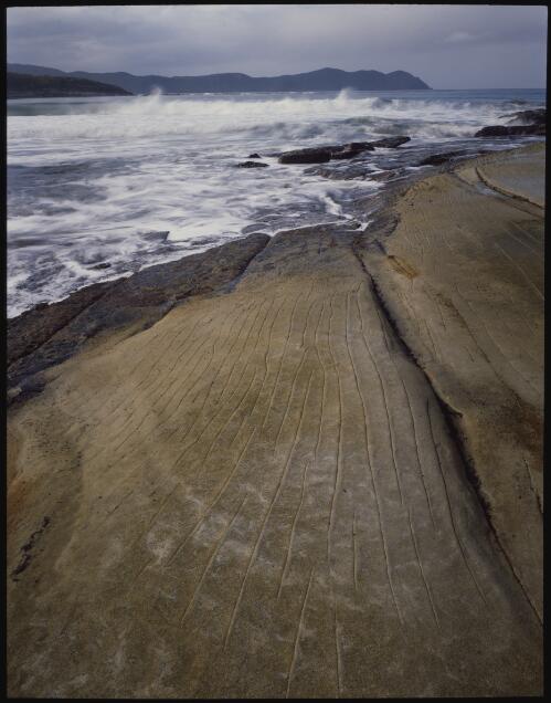 Sandstone pavement, South Cape Bay, southwest Tasmania, 1990?, 4 [transparency] / Peter Dombrovskis