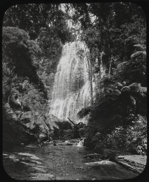 Macquarie Falls, New South Wales, ca.1892 [transparency] / Fred Hardie