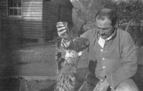 Tantalising "Tommy", an unidentified patient playing with cat at Forest Park Hospital, a WW1 New Zealand military hospital, Brockenhurst, Hampshire, United Kingdom [picture] / Rex Nan Kivell