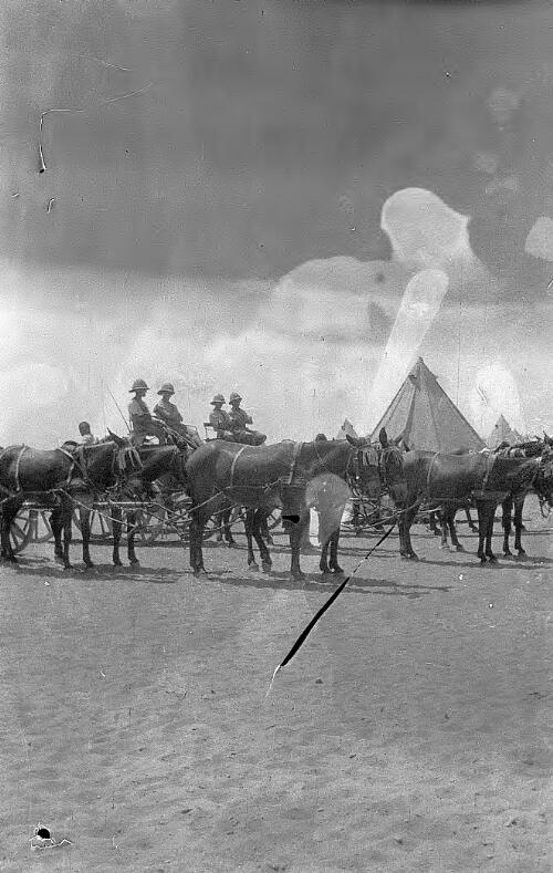 Transports in Egypt, Horse-drawn army transport,  probably New Zealand army [picture] / Rex Nan Kivell