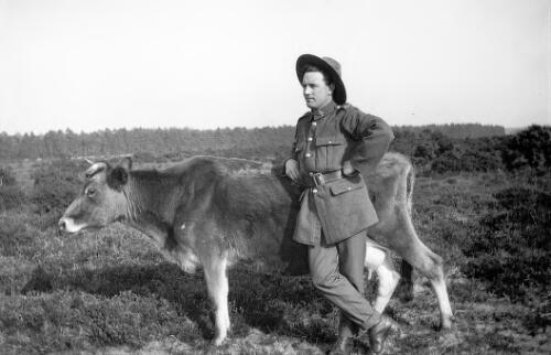 New Zealand soldier with cow [picture] / Rex Nan Kivell