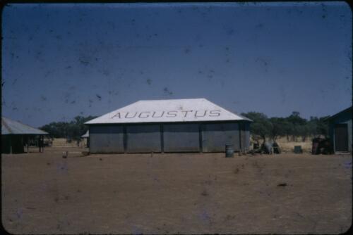 Augustus Downs, near Cloncurry, Queensland, ca. 1950s [transparency] / Les McKay