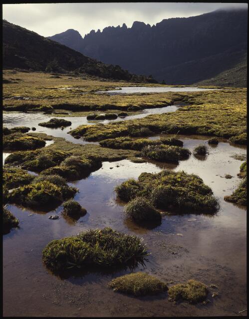 Cockscomb Ridge, Mount La Perouse, southwest Tasmania, 1988, 2 [transparency] / Peter Dombrovskis
