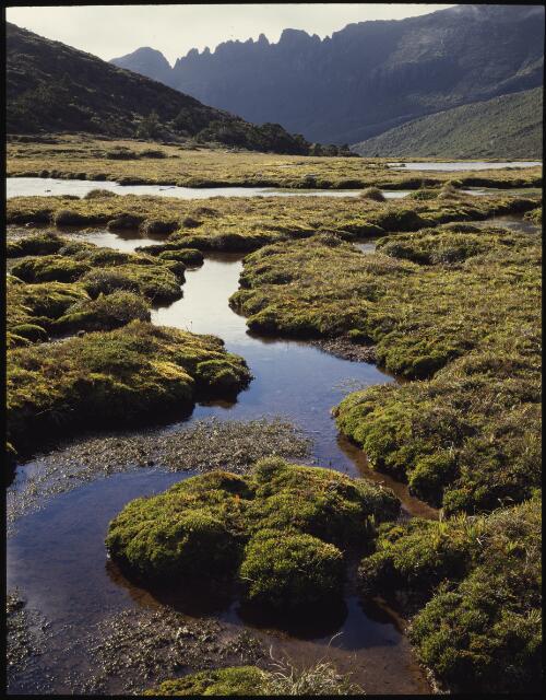 Cockscomb Ridge, Mount La Perouse, southwest Tasmania, 1988, 3 [transparency] / Peter Dombrovskis