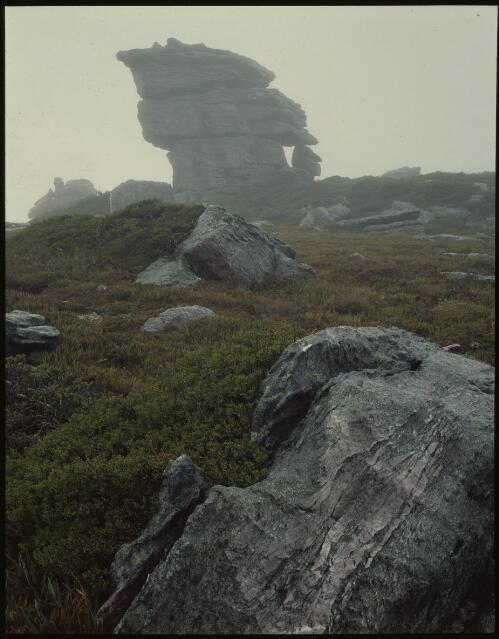 Quartzite boulders near Mount Hesperus, Western Arthur Range, southwest Tasmania, 1978, 1 [transparency] / Peter Dombrovskis