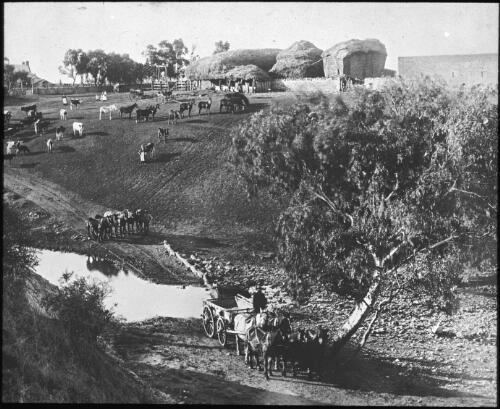 Scenes of Australian landscapes, Aboriginal people, wool transport and farm houses, ca. 1880 [picture]