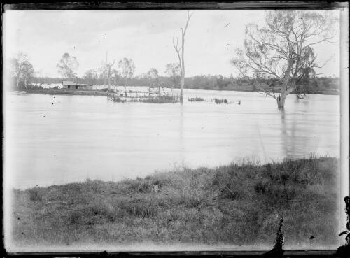 Sandy Creek in flood, Chinese market gardener's house, Clermont, Queensland, ca. 1918, 1 [picture] / Gordon Cumming Pullar