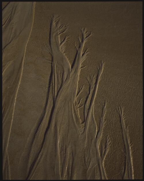 Sand patterns, Tasmania, 1993?, 1 [transparency] / Peter Dombrovskis