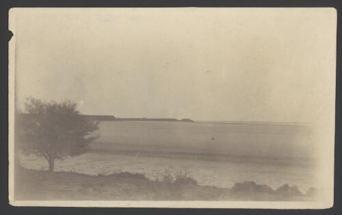 Lake Hart, [South Australia, 1914], very dreary photos taken by me [picture]
