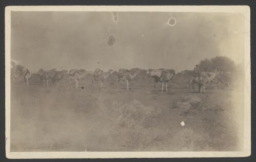 In the Eucolo country 125 miles [South Australia, 1914] [picture]