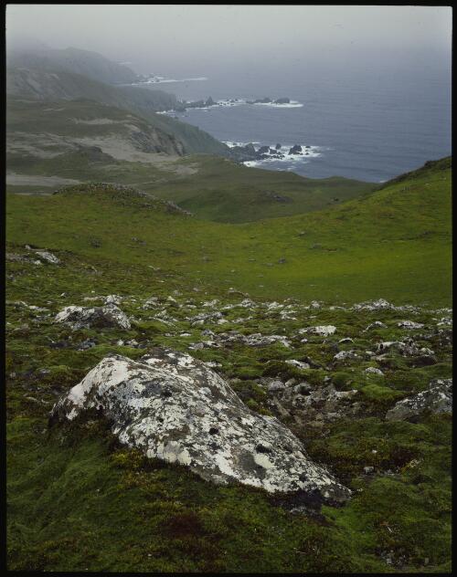 Elevated view of shore, Macquarie Island, Tasmania, 1984 [transparency] / Peter Dombrovskis