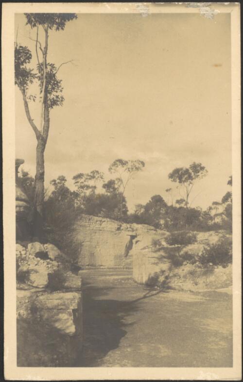 Site of Fishwick house prior to construction, Castlecrag, New South Wales, 1929 [picture]